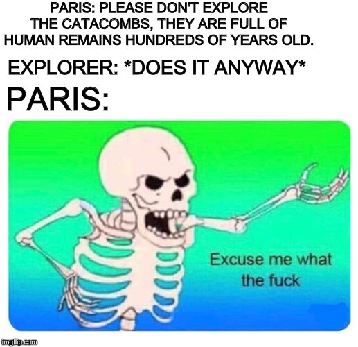 C'mon! They are skeletons! | PARIS: PLEASE DON'T EXPLORE THE CATACOMBS, THEY ARE FULL OF HUMAN REMAINS HUNDREDS OF YEARS OLD. EXPLORER: *DOES IT ANYWAY*; PARIS: | image tagged in excuse me what the fuck skeleton wtf | made w/ Imgflip meme maker