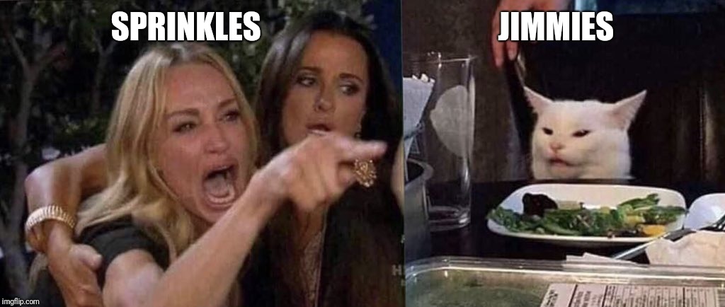 woman yelling at cat | SPRINKLES                                      JIMMIES | image tagged in woman yelling at cat | made w/ Imgflip meme maker