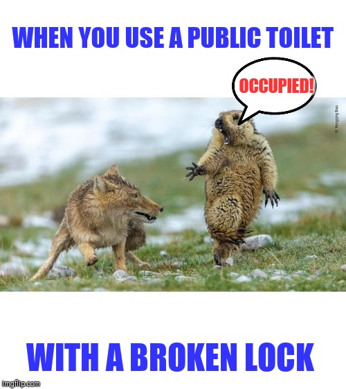 All this while trying not to touch anything | WHEN YOU USE A PUBLIC TOILET; OCCUPIED! WITH A BROKEN LOCK | image tagged in public toilets,the slow reveal,knock ffs | made w/ Imgflip meme maker