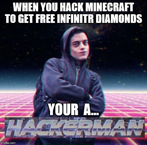 HackerMan | WHEN YOU HACK MINECRAFT TO GET FREE INFINITR DIAMONDS; YOUR  A... | image tagged in hackerman | made w/ Imgflip meme maker
