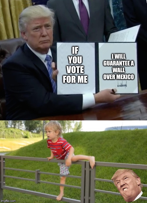 Trump did it all wrong | I WILL GUARANTEE A WALL OVER MEXICO; IF YOU VOTE FOR ME | image tagged in memes,trump bill signing | made w/ Imgflip meme maker