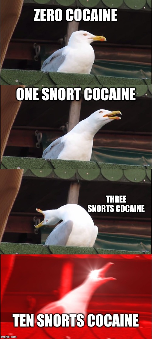 Inhaling Seagull | ZERO COCAINE; ONE SNORT COCAINE; THREE SNORTS COCAINE; TEN SNORTS COCAINE | image tagged in memes,inhaling seagull | made w/ Imgflip meme maker
