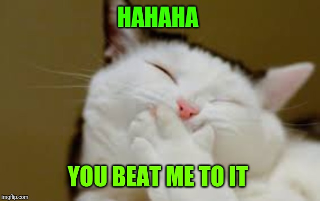 Cat laughing | HAHAHA YOU BEAT ME TO IT | image tagged in cat laughing | made w/ Imgflip meme maker