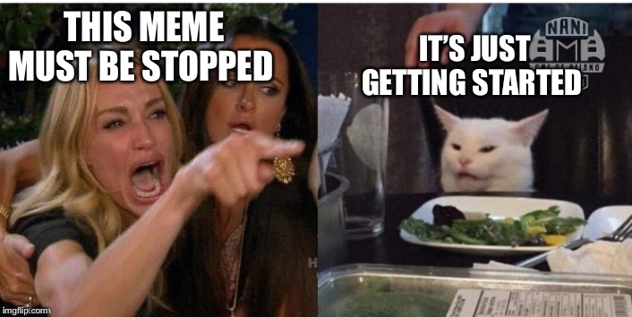 white cat table | THIS MEME MUST BE STOPPED; IT’S JUST GETTING STARTED | image tagged in white cat table | made w/ Imgflip meme maker