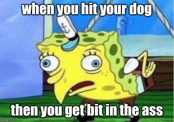 Mocking Spongebob | when you hit your dog; then you get bit in the ass | image tagged in memes,mocking spongebob | made w/ Imgflip meme maker
