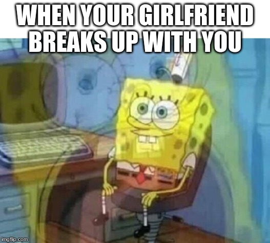 Internal screaming | WHEN YOUR GIRLFRIEND BREAKS UP WITH YOU | image tagged in internal screaming | made w/ Imgflip meme maker