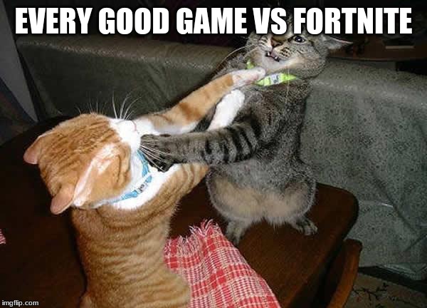 Two cats fighting for real | EVERY GOOD GAME VS FORTNITE | image tagged in two cats fighting for real | made w/ Imgflip meme maker
