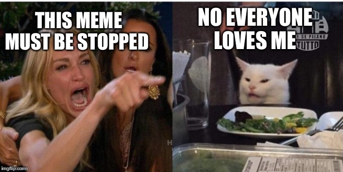 white cat table | NO EVERYONE LOVES ME; THIS MEME MUST BE STOPPED | image tagged in white cat table | made w/ Imgflip meme maker