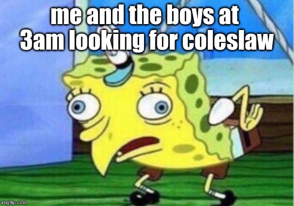 Mocking Spongebob | me and the boys at  3am looking for coleslaw | image tagged in memes,mocking spongebob | made w/ Imgflip meme maker