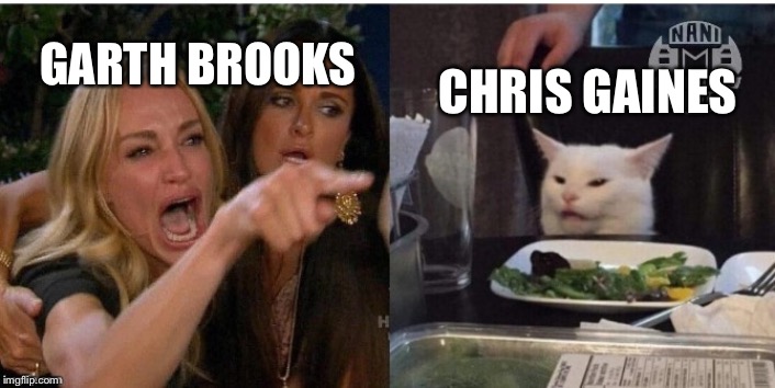 white cat table | CHRIS GAINES; GARTH BROOKS | image tagged in white cat table | made w/ Imgflip meme maker