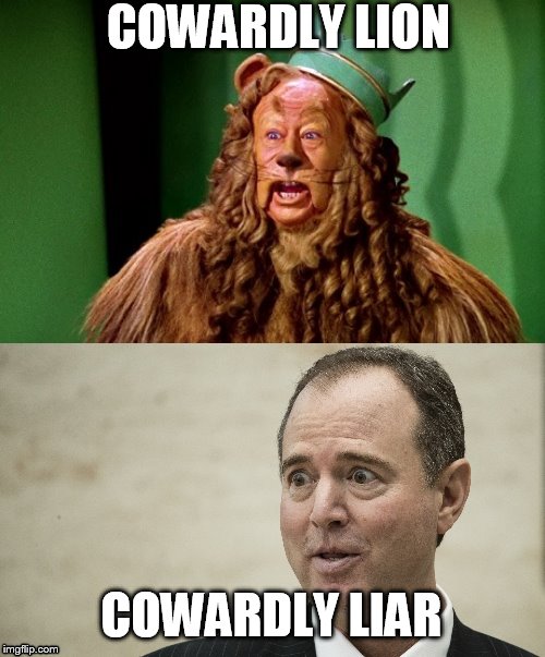 COWARDLY LION; COWARDLY LIAR | image tagged in cowardly lion speechmaking | made w/ Imgflip meme maker