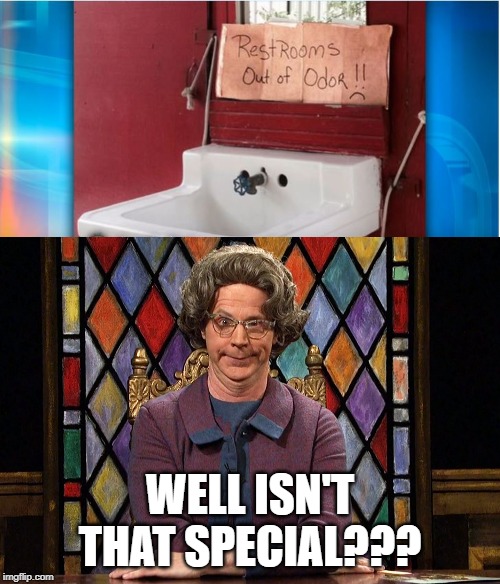 That Would Actually Be Nice | WELL ISN'T THAT SPECIAL??? | image tagged in the church lady | made w/ Imgflip meme maker