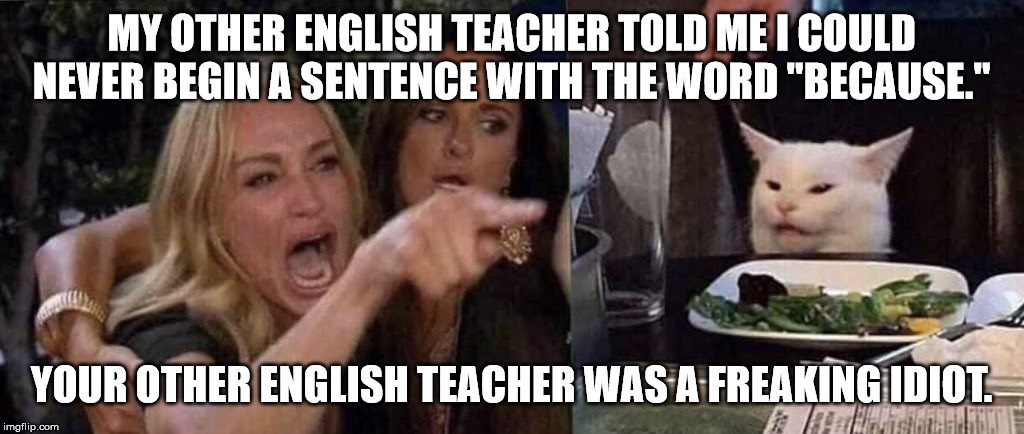 woman yelling at cat | MY OTHER ENGLISH TEACHER TOLD ME I COULD NEVER BEGIN A SENTENCE WITH THE WORD "BECAUSE."; YOUR OTHER ENGLISH TEACHER WAS A FREAKING IDIOT. | image tagged in woman yelling at cat | made w/ Imgflip meme maker