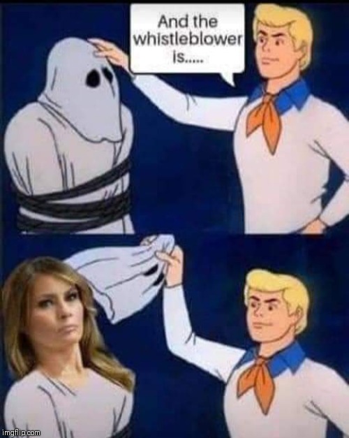 image tagged in donald trump,real housewives,melania trump,impeach trump | made w/ Imgflip meme maker