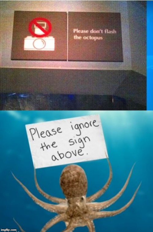 I Wanna Get My Tentacles on Them | image tagged in funny signs | made w/ Imgflip meme maker