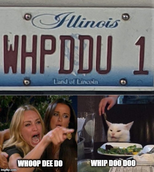  WHIP DOO DOO; WHOOP DEE DO | image tagged in memes,woman yelling at a cat | made w/ Imgflip meme maker