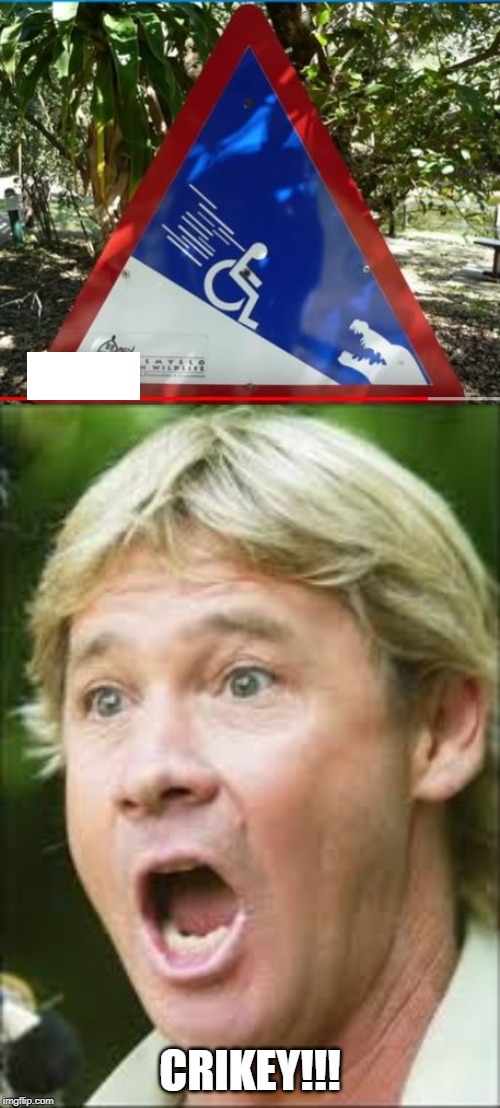 CRIKEY!!! | image tagged in steve irwin crikey | made w/ Imgflip meme maker