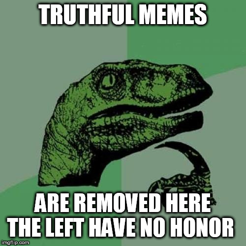 Philosoraptor Meme | TRUTHFUL MEMES; ARE REMOVED HERE THE LEFT HAVE NO HONOR | image tagged in memes,philosoraptor | made w/ Imgflip meme maker