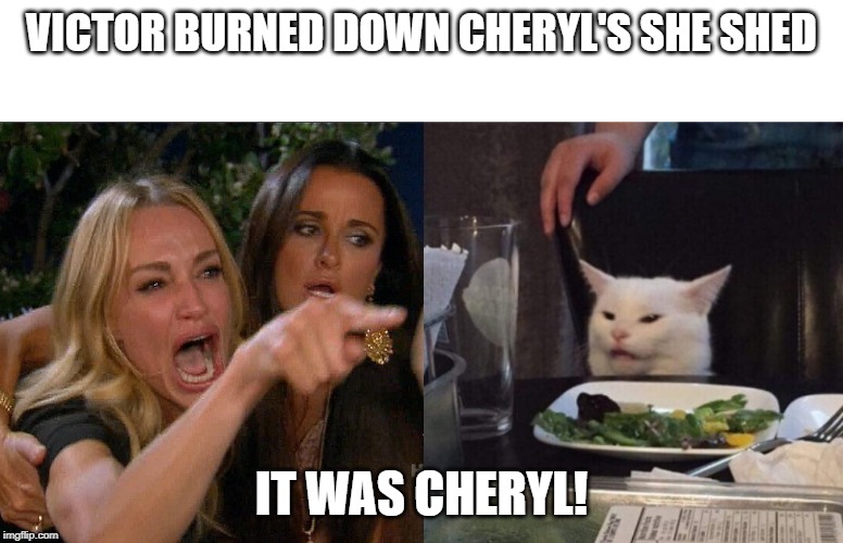 2 women yelling at a cat | VICTOR BURNED DOWN CHERYL'S SHE SHED; IT WAS CHERYL! | image tagged in 2 women yelling at a cat | made w/ Imgflip meme maker