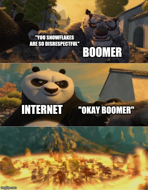 Skeboom | "YOU SNOWFLAKES ARE SO DISRESPECTFUL"; BOOMER; INTERNET; "OKAY BOOMER" | image tagged in boomer | made w/ Imgflip meme maker