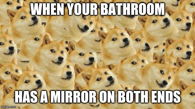 Multi Doge | WHEN YOUR BATHROOM; HAS A MIRROR ON BOTH ENDS | image tagged in memes,multi doge | made w/ Imgflip meme maker