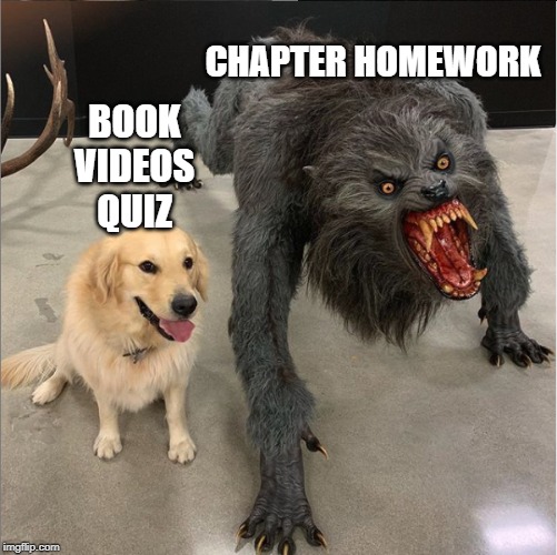 dog vs werewolf | CHAPTER HOMEWORK; BOOK
VIDEOS
QUIZ | image tagged in dog vs werewolf | made w/ Imgflip meme maker