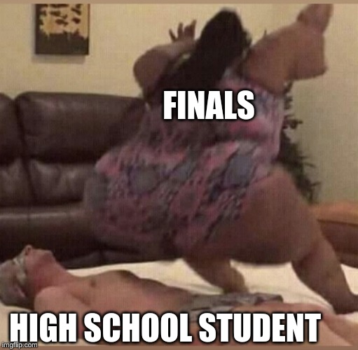 Fat bitch | FINALS; HIGH SCHOOL STUDENT | image tagged in fat bitch | made w/ Imgflip meme maker