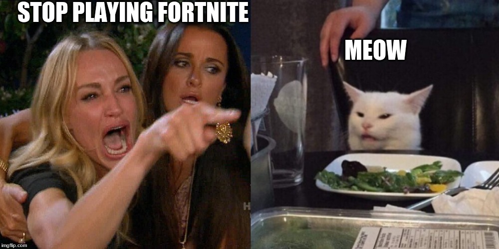 Woman yelling at cat | STOP PLAYING FORTNITE; MEOW | image tagged in woman yelling at cat | made w/ Imgflip meme maker