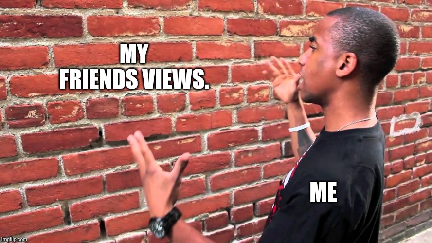 MY FRIENDS VIEWS. ME | image tagged in politics | made w/ Imgflip meme maker