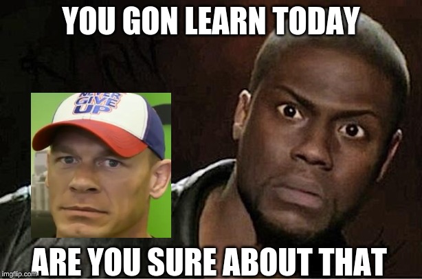 Kevin Hart Meme | YOU GON LEARN TODAY; ARE YOU SURE ABOUT THAT | image tagged in memes,kevin hart | made w/ Imgflip meme maker