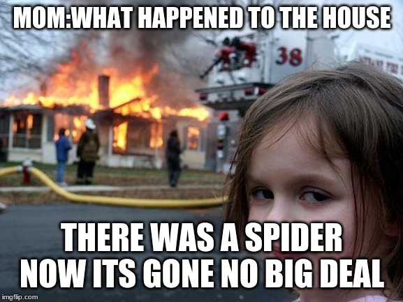 Disaster Girl | MOM:WHAT HAPPENED TO THE HOUSE; THERE WAS A SPIDER NOW ITS GONE NO BIG DEAL | image tagged in memes,disaster girl | made w/ Imgflip meme maker