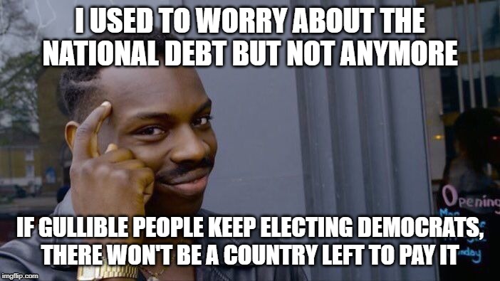 Roll Safe Think About It | I USED TO WORRY ABOUT THE NATIONAL DEBT BUT NOT ANYMORE; IF GULLIBLE PEOPLE KEEP ELECTING DEMOCRATS,
THERE WON'T BE A COUNTRY LEFT TO PAY IT | image tagged in memes,roll safe think about it | made w/ Imgflip meme maker