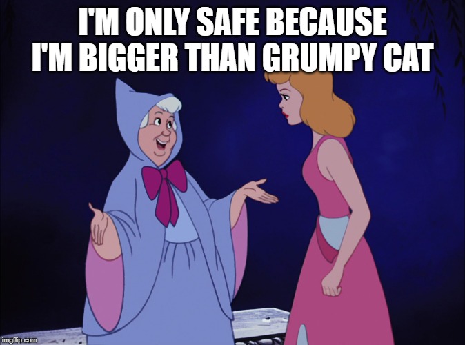 Cinderella Fairy Godmother | I'M ONLY SAFE BECAUSE I'M BIGGER THAN GRUMPY CAT | image tagged in cinderella fairy godmother | made w/ Imgflip meme maker