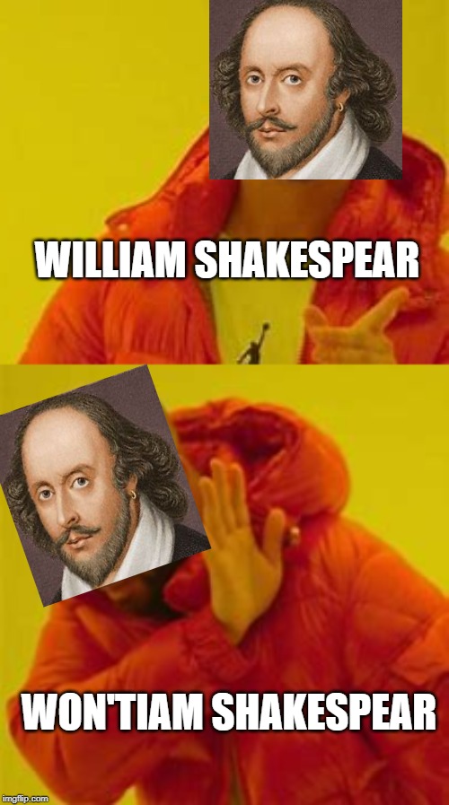 To will or to wont, that is the question | WILLIAM SHAKESPEAR; WON'TIAM SHAKESPEAR | image tagged in memes,drake hotline bling,funny memes | made w/ Imgflip meme maker