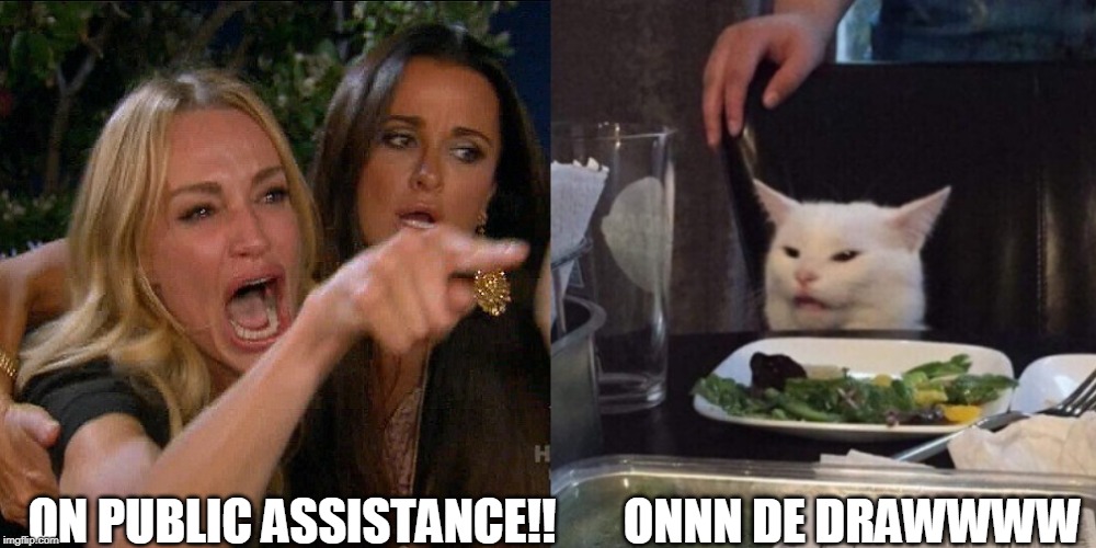 Woman yelling at cat | ON PUBLIC ASSISTANCE!!       ONNN DE DRAWWWW | image tagged in woman yelling at cat | made w/ Imgflip meme maker