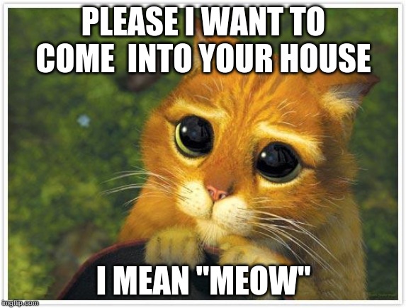 Shrek Cat | PLEASE I WANT TO COME  INTO YOUR HOUSE; I MEAN "MEOW" | image tagged in memes,shrek cat | made w/ Imgflip meme maker