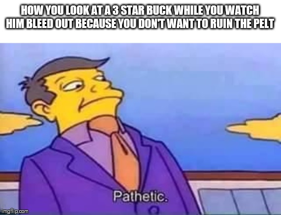 skinner pathetic | HOW YOU LOOK AT A 3 STAR BUCK WHILE YOU WATCH HIM BLEED OUT BECAUSE YOU DON'T WANT TO RUIN THE PELT | image tagged in skinner pathetic | made w/ Imgflip meme maker
