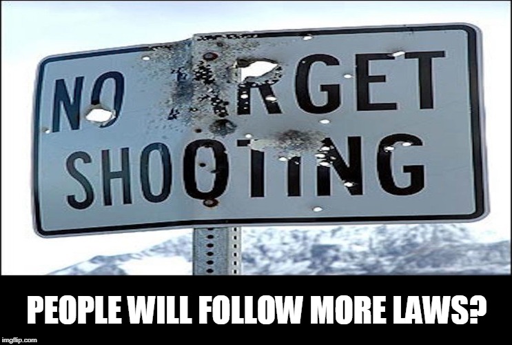 more laws? | PEOPLE WILL FOLLOW MORE LAWS? | image tagged in gun laws,politics | made w/ Imgflip meme maker
