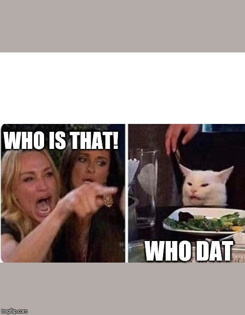 lady yelling at cat | WHO IS THAT! WHO DAT | image tagged in lady yelling at cat | made w/ Imgflip meme maker