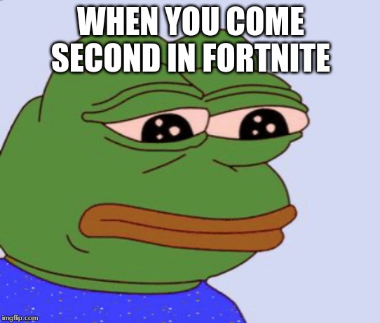WHEN YOU COME SECOND IN FORTNITE | image tagged in memes | made w/ Imgflip meme maker