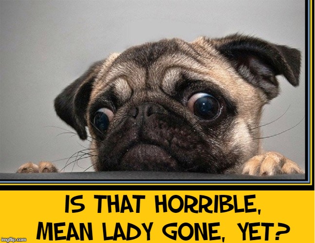 IS THAT HORRIBLE, MEAN LADY GONE, YET? | made w/ Imgflip meme maker