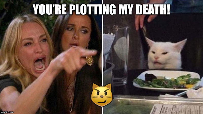 Woman and cat | YOU’RE PLOTTING MY DEATH! 😼 | image tagged in woman and cat | made w/ Imgflip meme maker