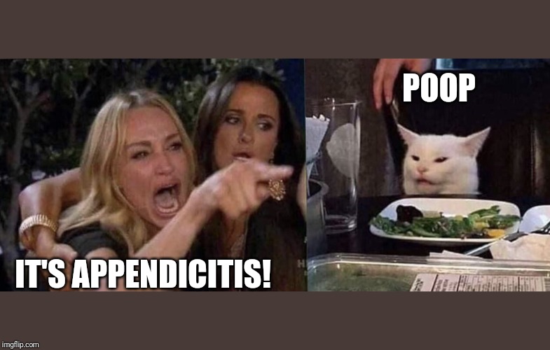 woman yelling at cat | POOP; IT'S APPENDICITIS! | image tagged in woman yelling at cat | made w/ Imgflip meme maker