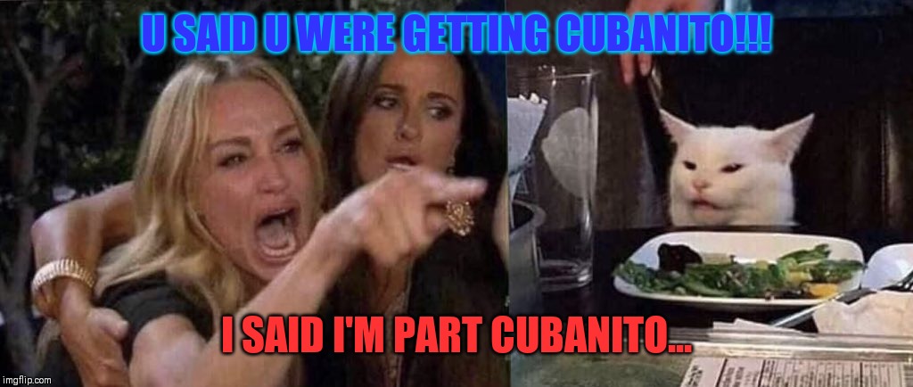 woman yelling at cat | U SAID U WERE GETTING CUBANITO!!! I SAID I'M PART CUBANITO... | image tagged in woman yelling at cat | made w/ Imgflip meme maker