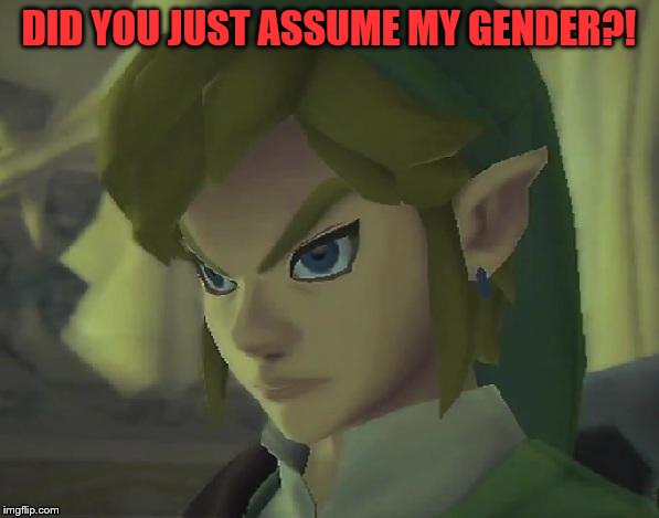 Angry Link | DID YOU JUST ASSUME MY GENDER?! | image tagged in angry link | made w/ Imgflip meme maker