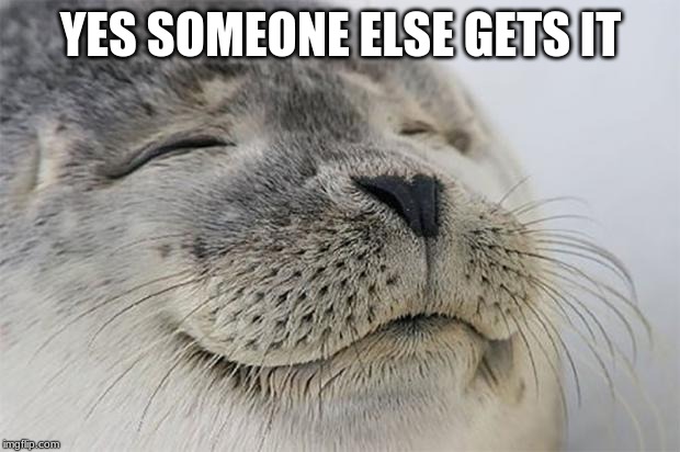 Satisfied Seal Meme | YES SOMEONE ELSE GETS IT | image tagged in memes,satisfied seal | made w/ Imgflip meme maker