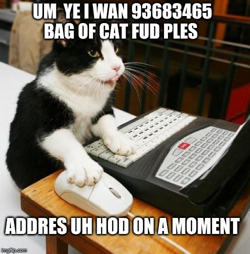 hello this is mr cat | UM  YE I WAN 93683465 BAG OF CAT FUD PLES; ADDRES UH HOD ON A MOMENT | image tagged in hello this is mr cat | made w/ Imgflip meme maker