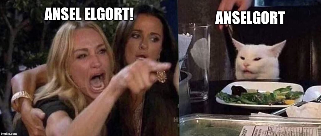 woman yelling at cat | ANSELGORT; ANSEL ELGORT! | image tagged in woman yelling at cat | made w/ Imgflip meme maker