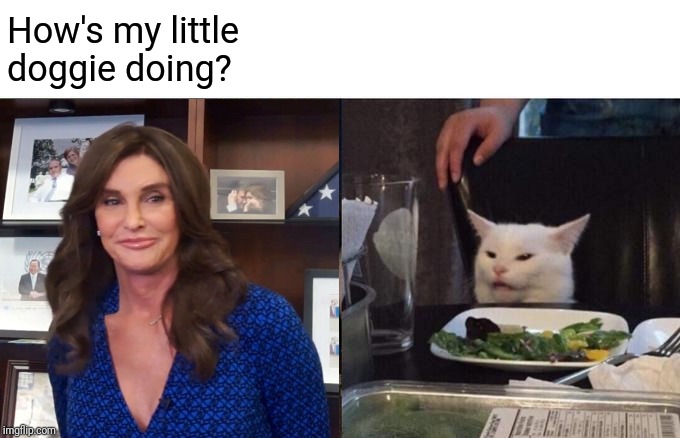 Caitlyn Jenner dog | How's my little doggie doing? | image tagged in funny memes,memes | made w/ Imgflip meme maker