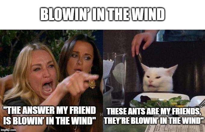 Woman Yelling At Cat Meme | BLOWIN’ IN THE WIND; "THE ANSWER MY FRIEND IS BLOWIN’ IN THE WIND"; THESE ANTS ARE MY FRIENDS, THEY’RE BLOWIN’ IN THE WIND" | image tagged in memes,woman yelling at a cat | made w/ Imgflip meme maker